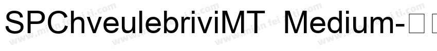 SPChveulebriviMT Medium字体转换